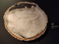 72ffc420-58ac-4891-acad-09880c3a3478