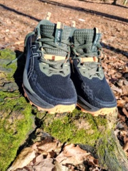 e66f5805-ad80-4129-abce-a7dac8b8b7b2