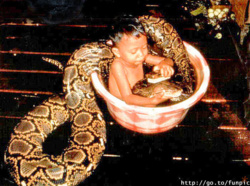 3a4c5282-12dc-4313-9882-d2efc3543f98