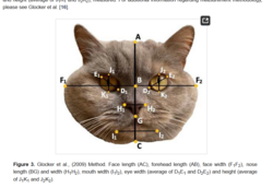 2bee5899-dd0f-4dcf-8d6d-404aceadf08e