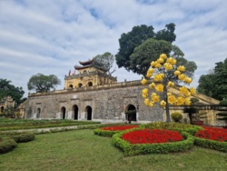 2b659081-cf67-4130-9633-a74158d80e64