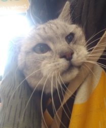 af41b228-7f0c-4cc0-8579-547950b798e0