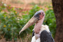 31473946-9b38-4d13-b2b2-d72f6542abc1