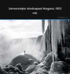 f3149b46-8217-4e5d-94a6-805d14de9a57