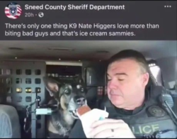 5d50a944-75ca-4d2a-8bc3-dc451e062a5a