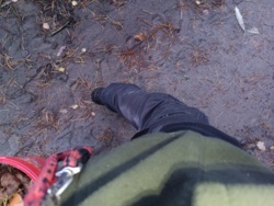 53c19117-ba17-4ec0-9099-1c0276d66228