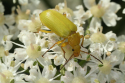 ac7a7929-65f2-42a1-b389-eeacdec22e61