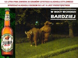 1ad6cfe9-ba37-43a5-9394-cf5642542188