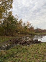 e6e5335a-f9dc-4346-8d02-5615e79806f4