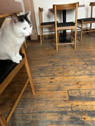 3522c30d-154e-4d3a-9e73-dd03fedddd21