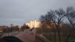 498e56a5-94c7-4e7e-a5ba-e52aa9a2595a