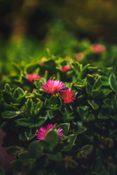 0f043e1d-595c-4ed0-81a0-5ce6f3eec8c3