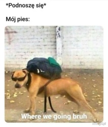 9f320d0b-e01e-410e-9f25-99f3fdceabed