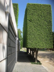 3f3c261c-e339-4e5b-8747-fde6aed95aee