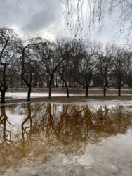 25cf3a74-6e78-4cf1-b7bc-585650a182f0