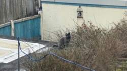 21065610-4ed3-43fd-80b7-fb5e397cfe24