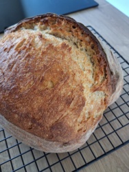 0b5b8ccc-5fe2-43a2-9575-43e26968fd34