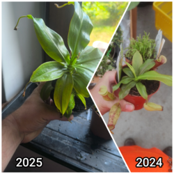 af467b50-e2d1-44fd-8723-4d383aab5eb4