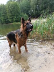 58784f5f-0911-4bf2-bde2-871821dadfa2