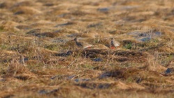 e0894f4b-8fb6-4286-9c34-3afbaf929812