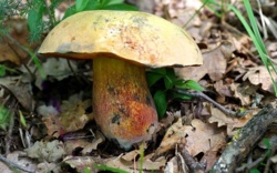 8bb6c3aa-743c-4629-bed7-9c249115ca64