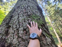 248e1707-ae94-457b-9be0-194effb56390