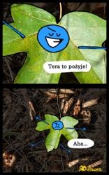 43d0529b-f15a-427d-a11d-10cbc39b55b8