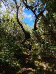 ecf36e43-8b27-4b04-aee9-613fbac17635