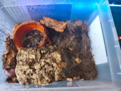 280fc32c-e671-4d05-8e62-b83c6a5976ae