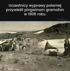 51be3236-bc50-4496-930e-17d0c270482e