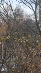 709b0d11-b91c-4238-87d0-c5d23923502f