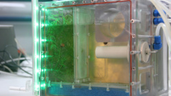 80c22dcd-ced6-4811-bfe9-de49ab25e659