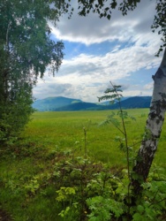 b536d2dc-edb9-4924-a53f-3a2e2331d3e9