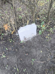 56649024-48fc-451d-8b60-6e6132c809ea