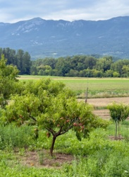 02e70845-2a1d-416e-acc6-0d1f8fb3de28