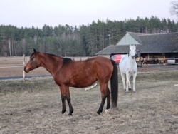 1afae0b1-5df1-4b7b-bb19-826f74fcef8b