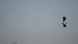 0ce73521-a315-42bc-b8f9-55d43ab9a07e