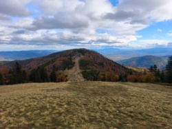 c530291c-e51b-4db1-8412-f457313ced61