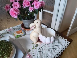 d03e5432-da73-4d79-a5c4-f35b6ab41483