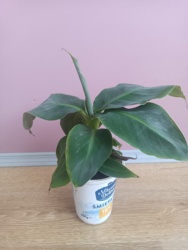 6becf9df-af43-4ba3-9b3a-ea810a8deb62