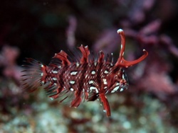 20a0ded7-020b-4dfd-be08-fa410a05acda