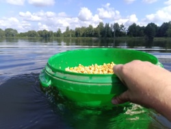 c209c491-af5b-4d66-bd04-74fa7e401a92