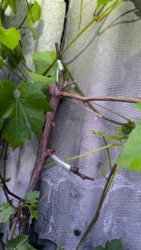 69f9830a-280c-4fc1-8316-1f158a364cc3