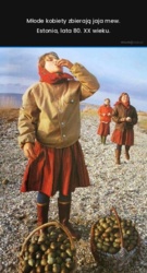 44c93abd-d53f-4b55-901f-508e72bdf83e