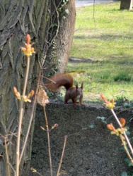 7cd2ec3e-95b5-4ee5-a503-4c434bd81298