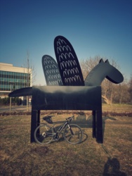 0b14456e-1d51-4118-b8ca-a778e0a6598b