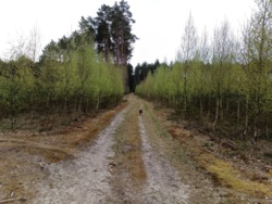 63788d33-9823-43ab-a209-1b1d904db287