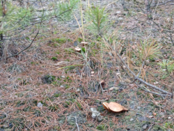 d14c34b3-5549-4ba3-aa45-72404c2cb8e3