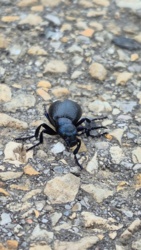 99098068-813b-4d15-918a-a52179cfceec