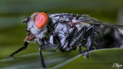 4583e510-bc0e-45c9-a30d-a09aa818267a